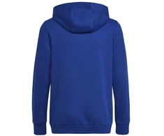 Adidas Big Logo Essentials Hoody Jr HN1912 džemperis
