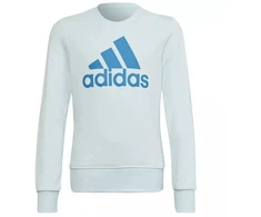 Adidas Big Logo Swt Jr HM8707 Džemperis
