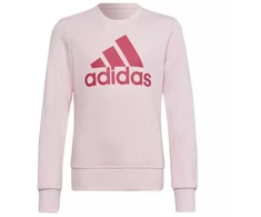 Adidas Big Logo SWT Jr HM8709 džemperis