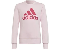 Adidas Big Logo SWT Jr HM8709 džemperis