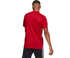 Adidas Condivo 21 Treniruočių marškinėliai Primeblue M GH7166