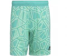 Adidas Condivo 22 M HB1624 vartininko šortai