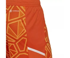 adidas Condivo 22 vartininko apranga M HB1627 vartininko šortai