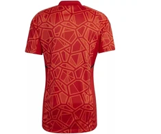 Adidas Condivo 22 Vartininko Marškinėliai Trumpomis Rankovėmis M H21238