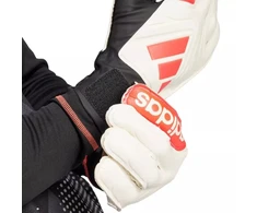 adidas Copa Club Vartininko pirštinės M JH3789