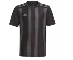 adidas Dry-Fit 21 Jr Marškinėliai GN7634