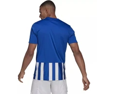 Adidas Dry-fit 21 JSY M GH7321 Marškinėliai