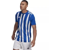 Adidas Dry-fit 21 JSY M GH7321 Marškinėliai