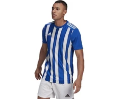 Adidas Dry-fit 21 JSY M GH7321 Marškinėliai