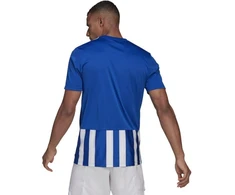 Adidas Dry-fit 21 JSY M GH7321 Marškinėliai