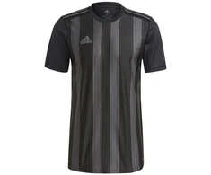 Adidas Dry-Fit 21 JSY M GN7625 marškinėliai