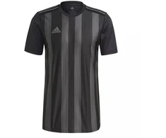 Adidas Dry-Fit 21 JSY M GN7625 marškinėliai