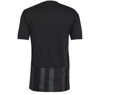 Adidas Dry-Fit 21 JSY M GN7625 marškinėliai