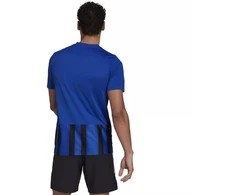 Adidas Dry-Fit 21 JSY M GV1380 Marškinėliai
