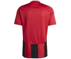 Adidas Dryžuoti 24 marškinėliai M IW4556