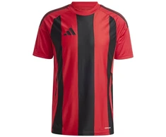 Adidas Dryžuoti 24 marškinėliai M IW4556