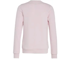 Adidas Dvigubo Logotipo Hoodies Jr IC6119