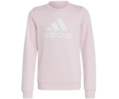 Adidas Dvigubo Logotipo Hoodies Jr IC6119