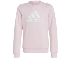 Adidas Dvigubo Logotipo Hoodies Jr IC6119