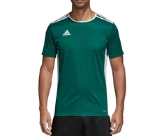 adidas Entrada 18 Jaunes marškinėliai CD8358