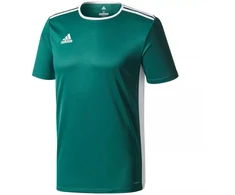 adidas Entrada 18 Jaunes marškinėliai CD8358