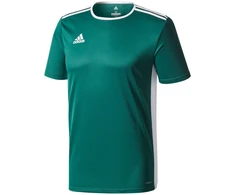 adidas Entrada 18 Jaunes marškinėliai CD8358