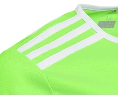 adidas Entrada 18 Jaunių Marškinėliai CE9755