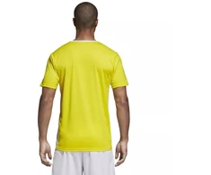 adidas Entrada 18 marškinėliai futbolui CD8390