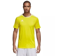 adidas Entrada 18 marškinėliai futbolui CD8390