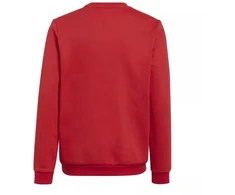 Adidas Entrada 22 Džemperis Jaunimui H57473