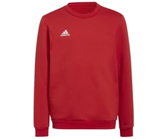 Adidas Entrada 22 Džemperis Jaunimui H57473