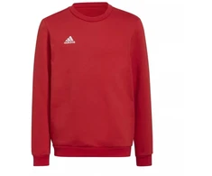 Adidas Entrada 22 Džemperis Jaunimui H57473