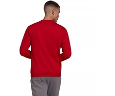 Adidas Entrada 22 Džemperis Vyrams M HB0577