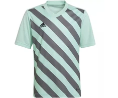 adidas Entrada 22 Grafinis Džersis Jaunesniajam HF0127