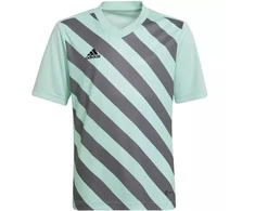 adidas Entrada 22 Grafinis Džersis Jaunesniajam HF0127
