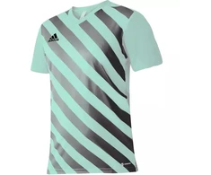 adidas Entrada 22 Grafinis Džersis Jaunesniajam HF0127