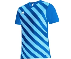 adidas Entrada 22 Grafinis Džersis M HF0116