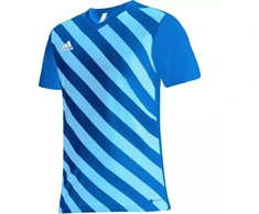 adidas Entrada 22 Grafinis Džersis M HF0116