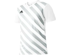 adidas Entrada 22 Grafinis Džersis M HF0129