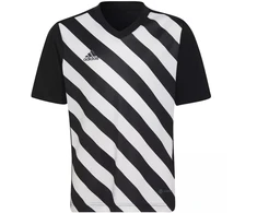 adidas Entrada 22 Graphic marškinėliai berniukams HF0123