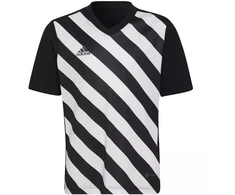 adidas Entrada 22 Graphic marškinėliai berniukams HF0123