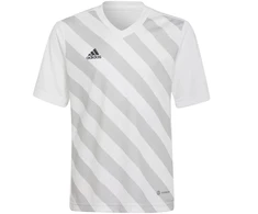 Adidas Entrada 22 Graphic marškinėliai Jr HF0120