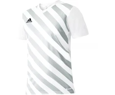 Adidas Entrada 22 Graphic marškinėliai Jr HF0120