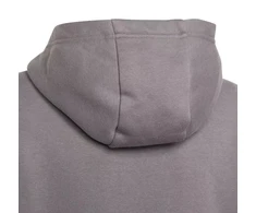 Adidas Entrada 22 Hoody Jr Džemperis H57515