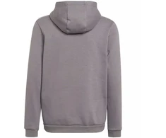 Adidas Entrada 22 Hoody Jr Džemperis H57515