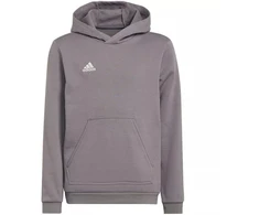 Adidas Entrada 22 Hoody Jr Džemperis H57515