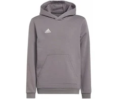 Adidas Entrada 22 Hoody Jr Džemperis H57515