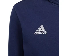 Adidas Entrada 22 Hoody Jr Džemperis H57517