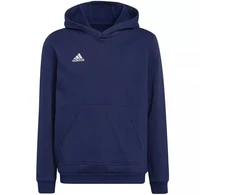 Adidas Entrada 22 Hoody Jr Džemperis H57517