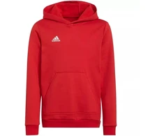 Adidas Entrada 22 Hoody Jr. Džemperis H57566